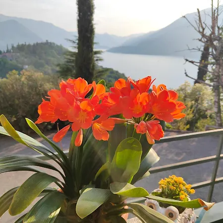 Casa Stili Appartement Perledo