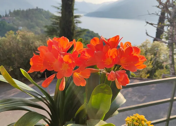 Casa Stili Appartamento Perledo